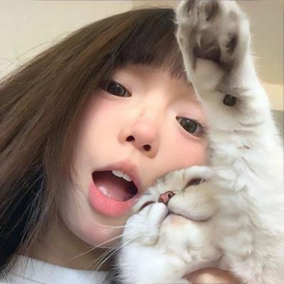 伤物语3:冷血篇封面